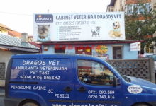 veterinar Romania Otopeni Cabinet Veterinar Otopeni - Dragos & Stefan Vet