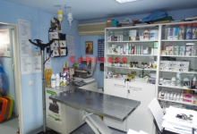 veterinar Romania Otopeni Cabinet Veterinar Otopeni - Dragos Vet