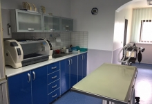 veterinar Romania Buzau Cabinet veterinar HelpVet