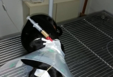 veterinar Romania Bucuresti-Sector 2 VET MEDICAL CONSULTING S.R.L.