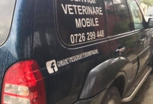 veterinar Romania Pascani Clinica Veterinara DondorVet