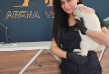 veterinar Romania Bacau Cabinet Veterinar Bacau -  ARENA MEDICAL VET SRL 