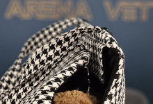 veterinar Romania Bacau Cabinet Veterinar Bacau -  ARENA MEDICAL VET SRL 