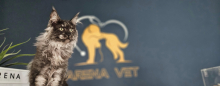 veterinar Romania Bacau Cabinet Veterinar Bacau -  ARENA MEDICAL VET SRL 