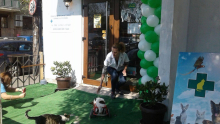 veterinar Romania Bucuresti-Sector 1 Cabinet Veterinar PRO ANIMA VET