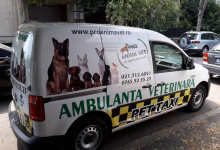 veterinar Romania Bucuresti-Sector 4 Cabinet Veterinar PRO ANIMA VET
