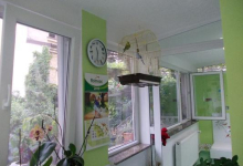 veterinar Romania Bucuresti-Sector 1 Cabinet Veterinar PRO ANIMA VET