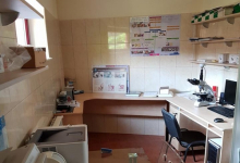 veterinar Romania Targu Neamt Clinica Veterinara MINIVET